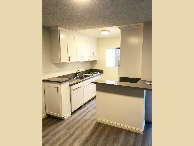 Camellia Apartments Kitchen