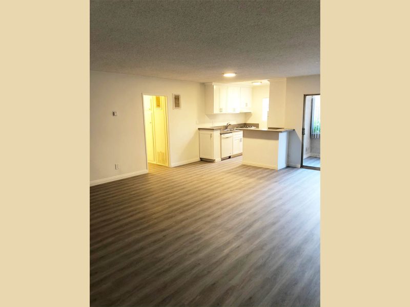 Camellia Apartments Livingroom
